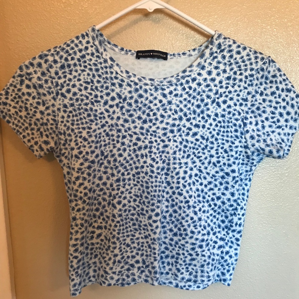 Brandy Melville Cheetah Short Sleeve Crop Top